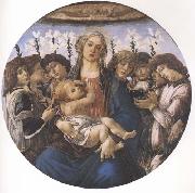 Sandro Botticelli Madonna and child with eight Angels or Raczinskj Tondo Spain oil painting artist